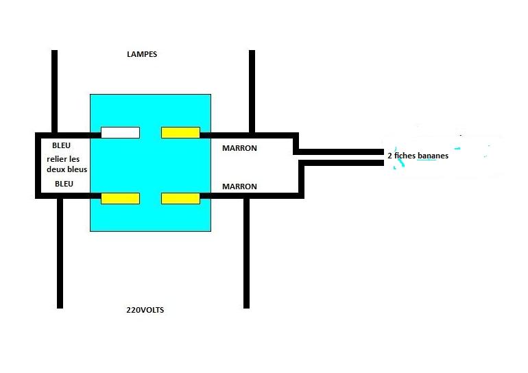 Cablage inter mod 1