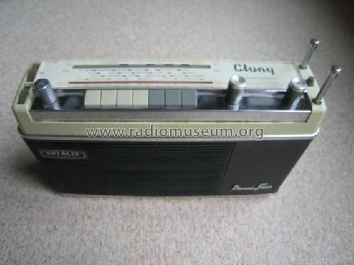 cluny-529436.jpg