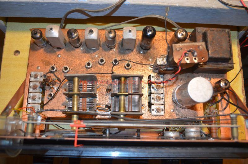 Dsc 427