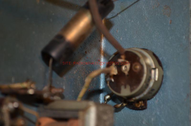 Dsc 446