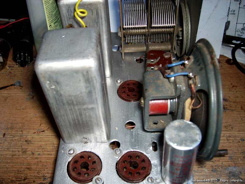 Imgp8911
