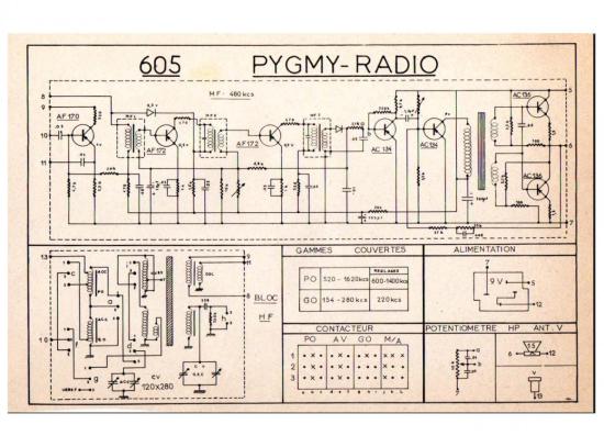Pygmy 1